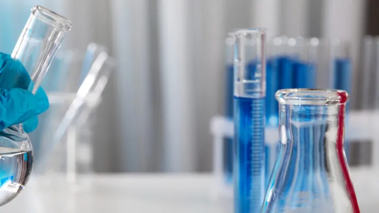 Interim Management Chemie - Klose Interim Management